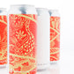Canvas (CANS)